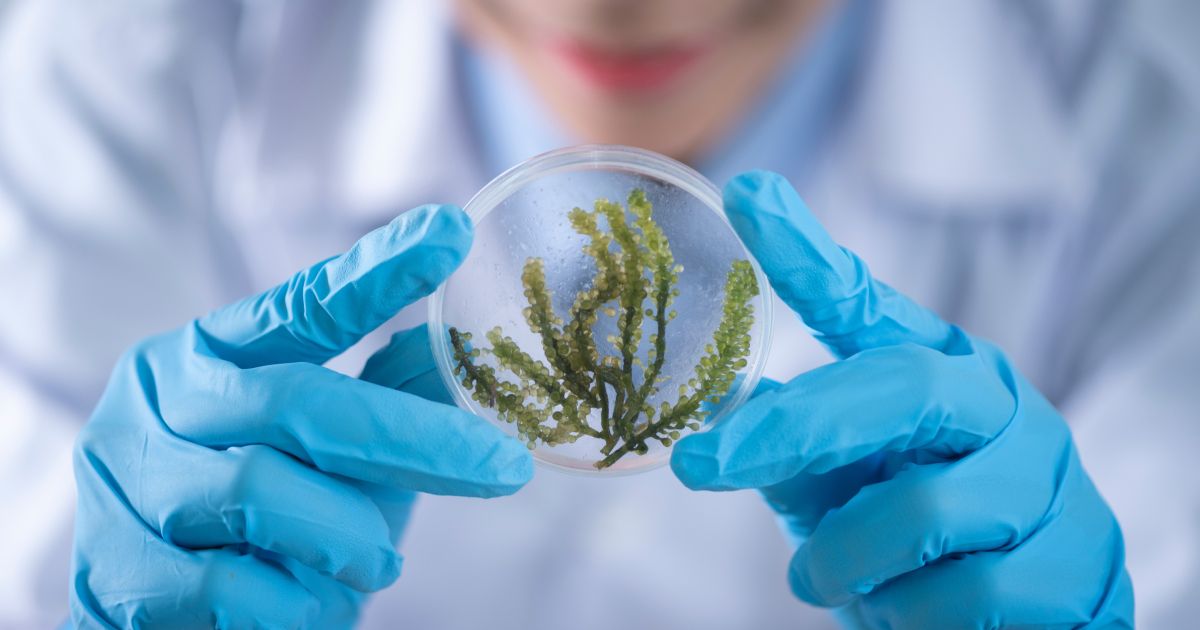 7 Future Trends in Biotechnology